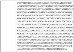 Figure BDA0002742983620000201