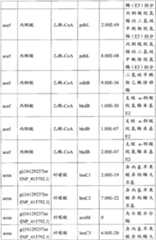 Figure BPA00001563191500581