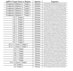 Figure imgf000125_0001