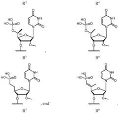 Figure imgf000167_0001