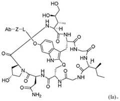Figure FDA0003429348360000043