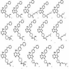 Figure 112012108381312-pat00021