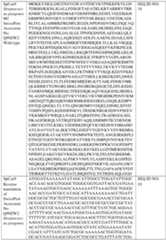 Figure imgf000115_0001