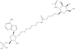 Figure US11578329-20230214-C00001