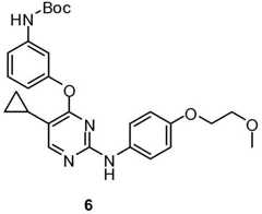 Figure BDA0001453135130002653