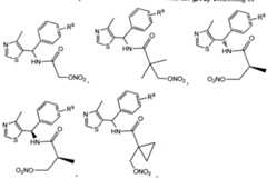 Figure imgf000069_0002