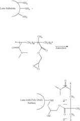 Figure US06630243-20031007-C00020