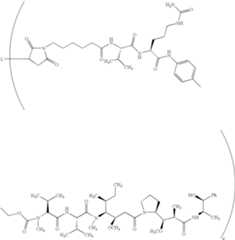 Figure US07829531-20101109-C00228