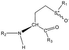 Figure imgf000004_0001