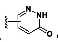 Figure imgf000005_0004