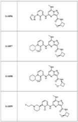 Figure imgf000310_0001