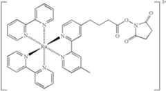 Figure US06852502-20050208-C00001