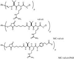 Figure BDA0001241706110000951