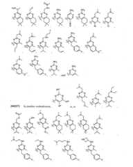 Figure imgf000094_0001