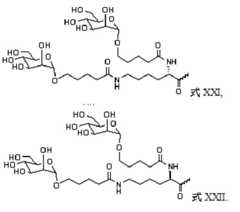 Figure 0007101748000010