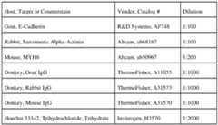 Figure imgf000038_0001