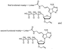 Figure imgf000087_0001