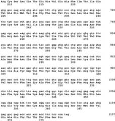 Figure imgb0097