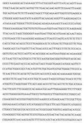 Figure 104109152-A0202-12-0091-25