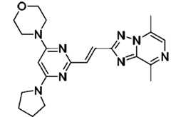 Figure JPOXMLDOC01-appb-C000256