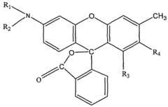 Figure imgf000008_0001