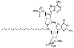 Figure imgf000062_0002