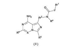 Figure imgf000006_0001