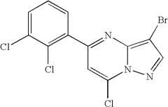 Figure US07119200-20061010-C00594