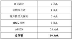 Figure BDA0001795462910000081