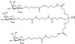 Figure imgf000245_0002