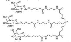 Figure imgf000005_0001