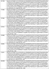 Figure imgf000321_0001