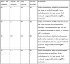 Figure imgf000171_0001