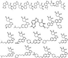 Figure FDA0003480931620000043