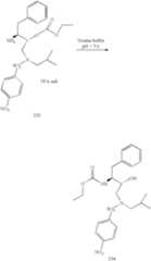 Figure US06436989-20020820-C00126