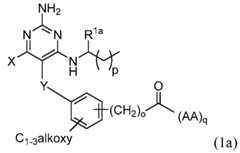 Figure imgf000011_0004