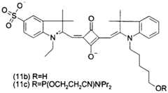 Figure imgf000061_0002
