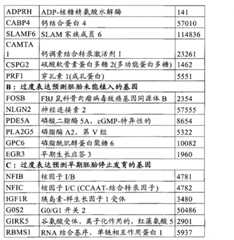 Figure BPA00001480516600201