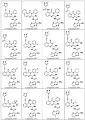 Figure imgf000113_0001