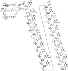 Figure BDA0003018192690000141