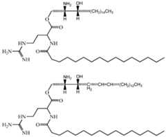 Figure imgf000031_0001