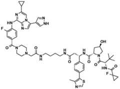 Figure BDA0002964098100001971