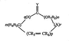 Figure G2004800413009D00021