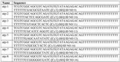 Figure imgf000053_0002