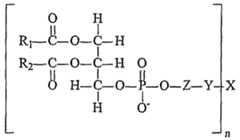 Figure imgf000080_0002