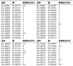 Figure BDA0001462269490000411