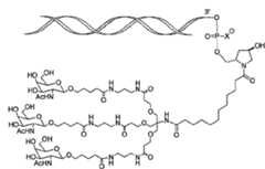 Figure 107123784-A0305-02-0253-16