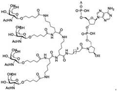 Figure BDA0003357312860001931