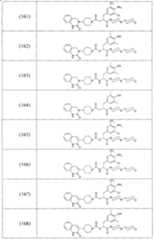 Figure A2006800095860031C1