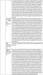 Figure BDA0004033970230006651